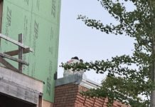 Police Pluck Porch Pirate From Warren Street Rooftop